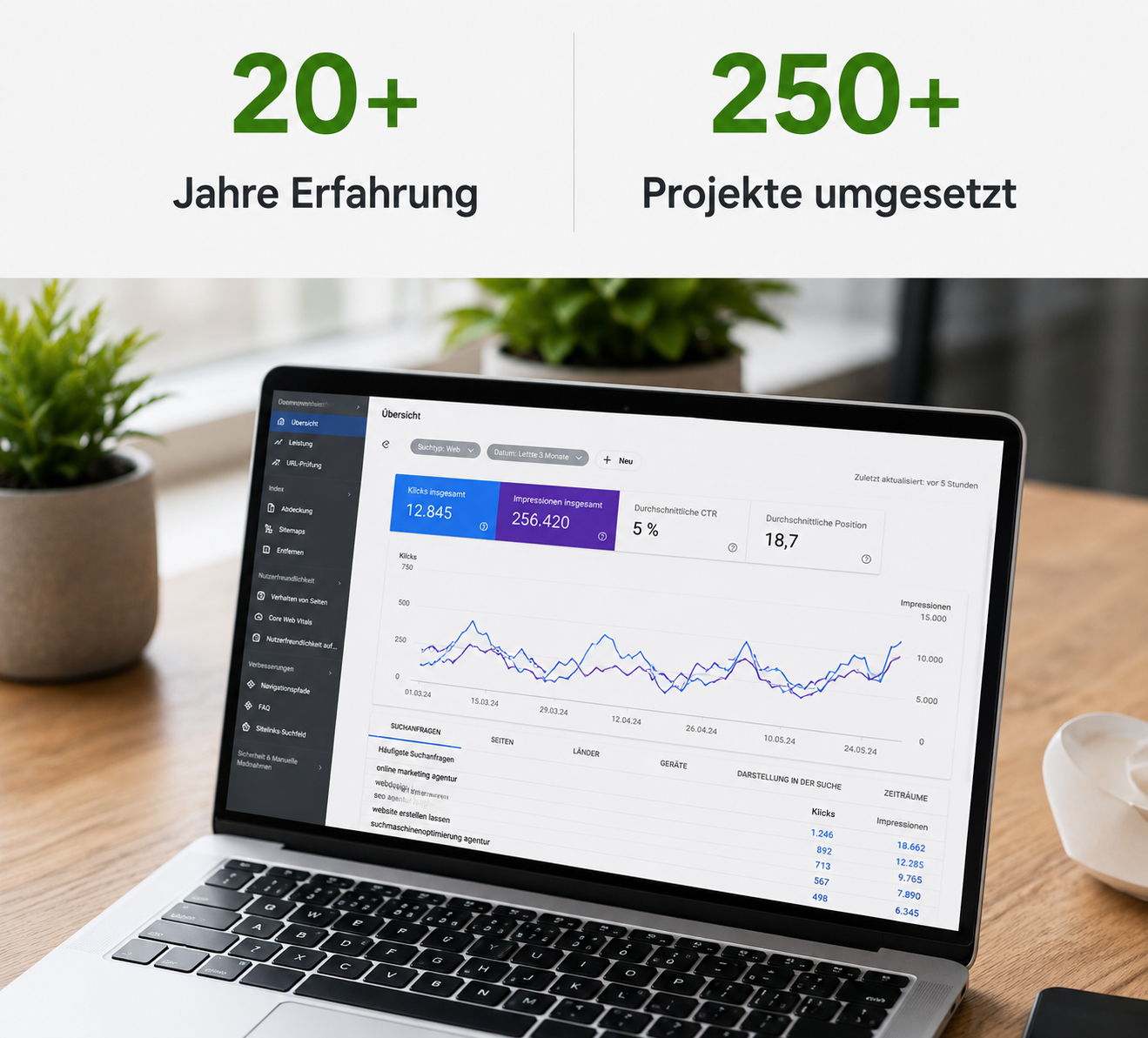 SEO-Daten und Website-Analyse